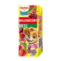 Hortex LEON 0,2L S WIELOOWOCOWY słomka [27]