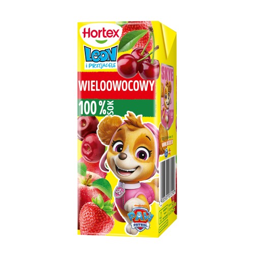 Hortex LEON 0,2L S WIELOOWOCOWY słomka [27]