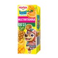 Hortex LEON 0,2L S MULTIWITAMINA słomka [27]