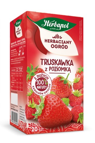 Herbata Big Truskawka z Poziomką 20 torebek H.Her ogr.TRUSKAWKA Z POZIOMKĄ 20tb [10]