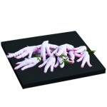 Łapy z kurczaka, mięsne specjały tacka duża ok. 1 kg