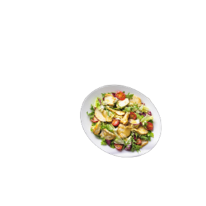 Kebab z fileta kurczaka 2,5 kg morliny