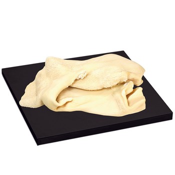 Flaki wołowe bielone, mięsne specjały vacuum ok. 3 kg 610933_0_1746746741765.jpg