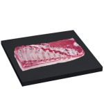 Boczek wieprzowy z żebrami ze skórą wąski, mięsne specjały pak ok. 4 kg