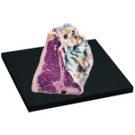 Z wagi: dab t-bone wołowy stek z kością, przygotowany na miejscu luz (ok. 100 g)