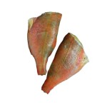 Ryba karmazyn filet ze skórą ok. 250-350 g