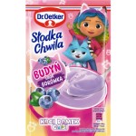 Dr. Oetker Słodka Chwila Gabi Budyń Borówka 41 g