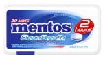 Mentos 2 Hours Clean Breath Peppermint 21 g