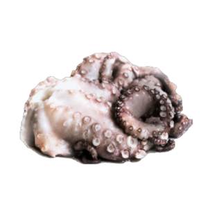 MyFood Ośmiornica cała, surowa (Octopus vulgaris) głęboko mrożona, rozmiar: 1-2 kg