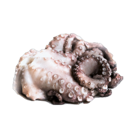 MyFood Ośmiornica cała, surowa (Octopus vulgaris) głęboko mrożona, rozmiar: 1-2 kg 126295096%2F81195711%2F578624.png