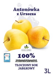 Sok NFC jabłkowy Antonówka 100% Dolina Czerska 3 l