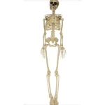 Szkielet dekoracyjny na Halloween 90cm