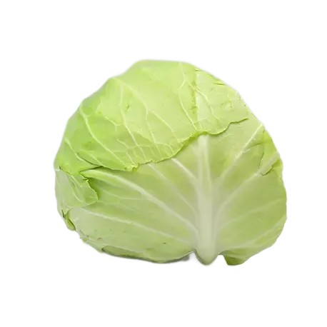 Kapusta biała płaska COOLWRAP ok. 2 kg b634cd101d43b0daad5e94db319ae6b4.jpg