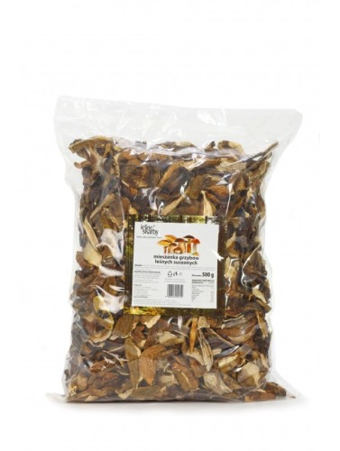 Gastronomiczna mieszanka suszonych grzybów 500 g Leśne Skarby Gastronomiczna mieszanka suszonych grzybów 500g Leśne Skarby