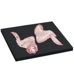 Skrzydło z kurczaka, mięsne specjały vacuum ok. 2,5 kg