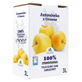 Dolina Czerska 100% tłoczony sok jabłko antonówka 3 l