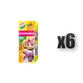 1765376071204-209-2-x6-p5gky.png