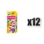 Hortex Leon i Przyjaciele Sok 100% multiwitamina karton 200 ml 12 szt.