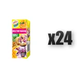 Hortex Leon i Przyjaciele Sok 100% multiwitamina karton 200 ml 24 szt.