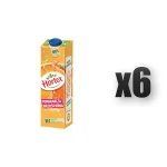 Hortex Pomarańcza Brzoskwinia Napój karton 1 l 6 szt.