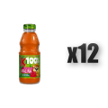 1765376267820-470-2-x12-tld5y5.png