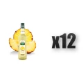 1765376298036-526-2-x12-a2vb6.png