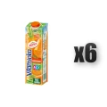 1765376684166-937-2-x6-zf0rg.png
