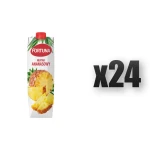 Fortuna Nektar ananasowy 1 l 24 szt.