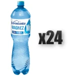 Ustronianka z magnezem gazowana 1,5l 24 szt.