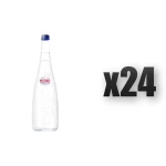EVIAN woda mineralna gazowana szkło 750ml 24 szt.