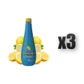 1765376870690-1208-2-x3-hiucnj.png