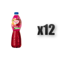 1765376883462-1234-2-x12-d9k3an.png