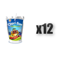 1765377232178-1698-2-x12-knd56.png