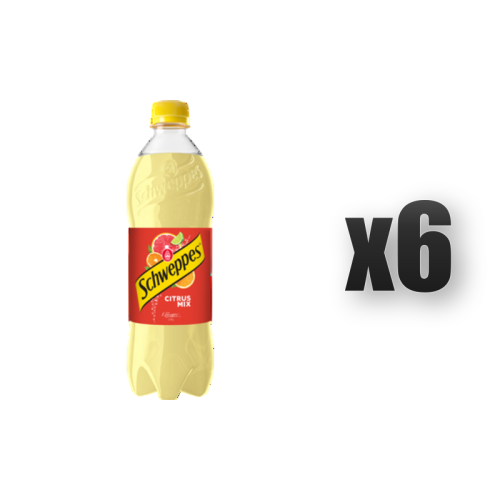 1765377794371-2313-2-x6-eoze2.png