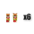 1765377846250-2417-2-x6-w8pyam.png