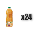 1765377879689-2443-2-x24-6h79ur.png