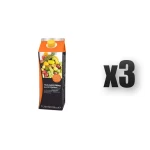 TGQ Nektar multivitamina z 12 gatunków owoców 1l 3 szt.