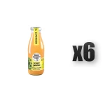 Letnie Jabłko z cytryną i tymiankiem 500 ml Bracia Sadownicy 6 szt.