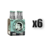 Thomas Henry Botanical tonic 4x200 ml 6 szt.