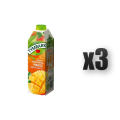 1765378397326-3220-2-x3-7idlpp.png