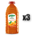 1765378500800-3336-2-x3-ese3wg.png
