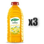 Herbapol Lublin Owocowa Spiżarnia Lemoniadowa 5 L 3 szt.
