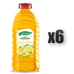 Herbapol Lublin Owocowa Spiżarnia Lemoniadowa 5 L 6 szt.