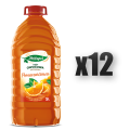 1765378506260-3338-2-x12-ttzbr8.png