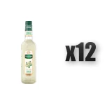 Mathieu Teisseire Syrop kwiat bzu 700 ml 12 szt.