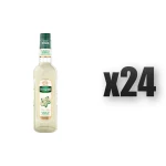 Mathieu Teisseire Syrop kwiat bzu 700 ml 24 szt.