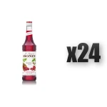 Monin Raspberry - syrop malinowy 0,7l 24 szt.