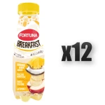 Fortuna Breakfast jabłko-banan-ananas z płatkami owsianymi i mleczkiem kokosowym 300ml 12 szt.