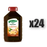 OWOCOWA SPIŻARNIA Imbirowa Herbapol 3,1 l. 24 szt.