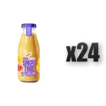 Hortex Przetarte Smoothie jabłko, banan, pomarańcza, mango, acerola z dodatkiem rozdrobnionych nasion quinoa 250ml 24 szt.